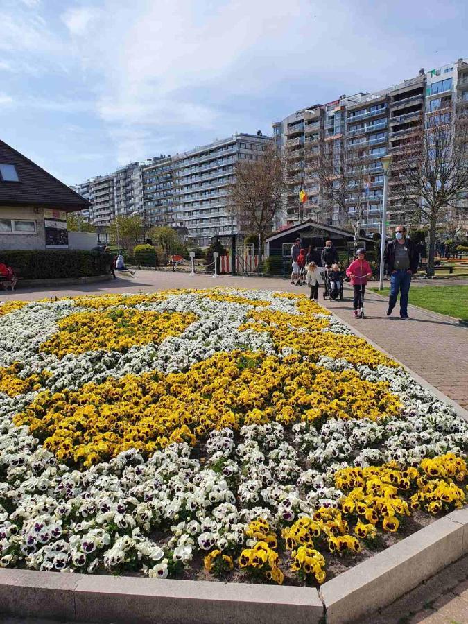 Sun And Fun Apartman Blankenberge Kültér fotó